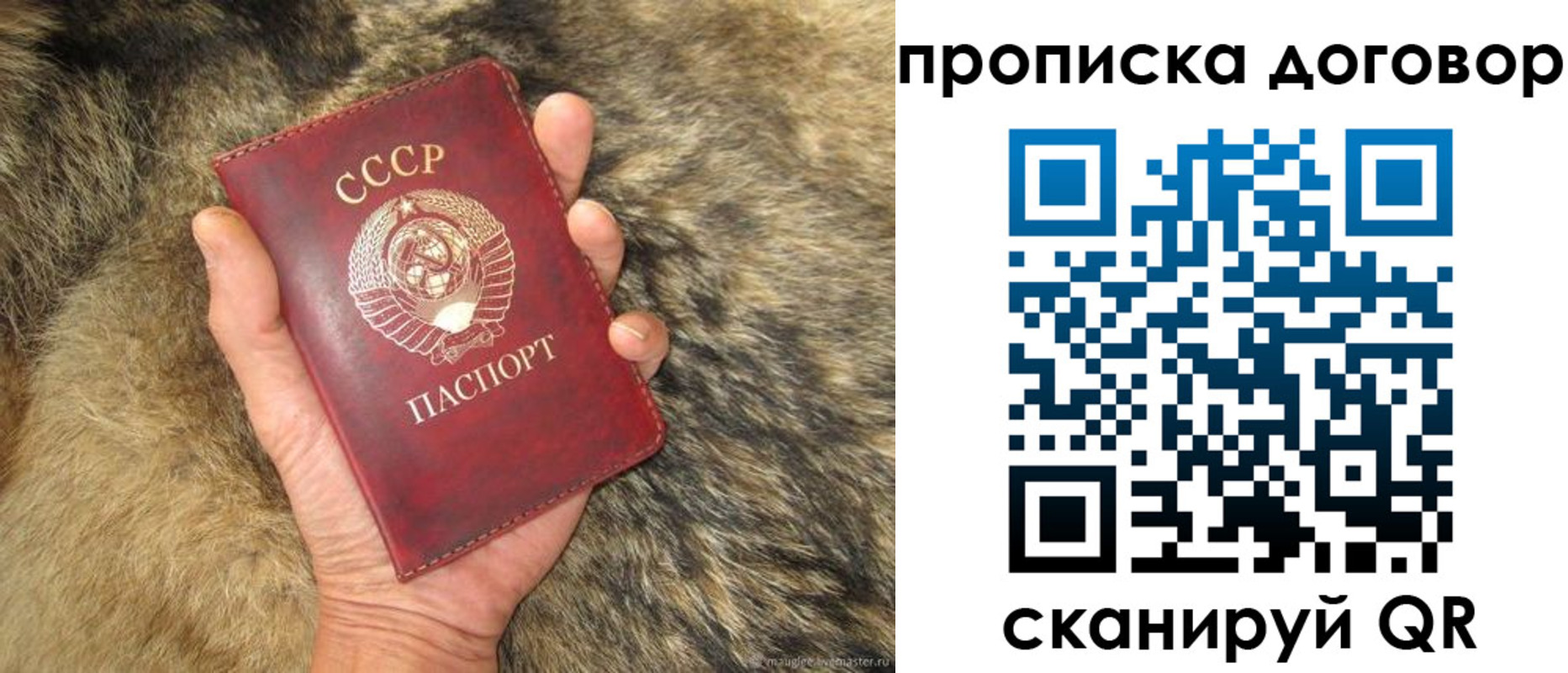 прописка регистрация в Моздоке